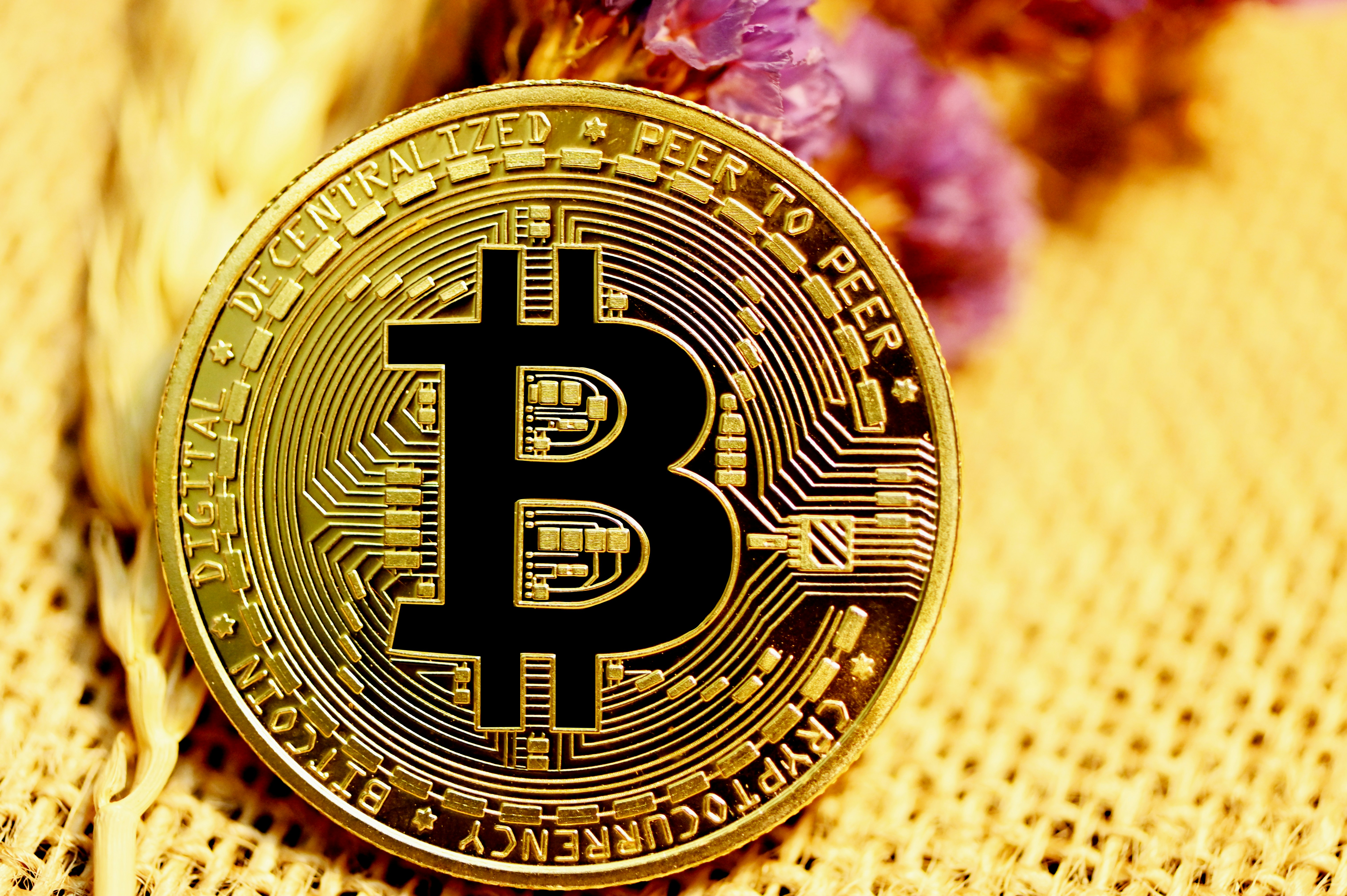 Digital Assets Coverage
